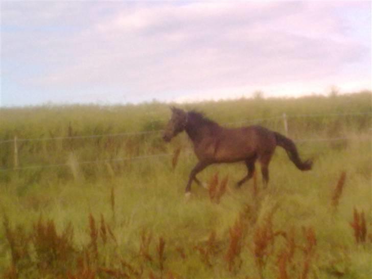 Traver Gucci <3 [SOLGT:'(] billede 13