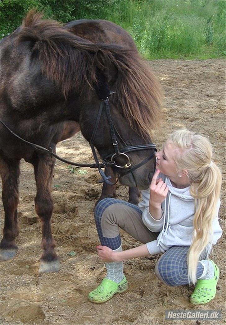 Islænder †  Laufi frá Hjalla  †  Min engel! - Du er det bedste jeg ved.! (´: <3 Foto:Mor. billede 12