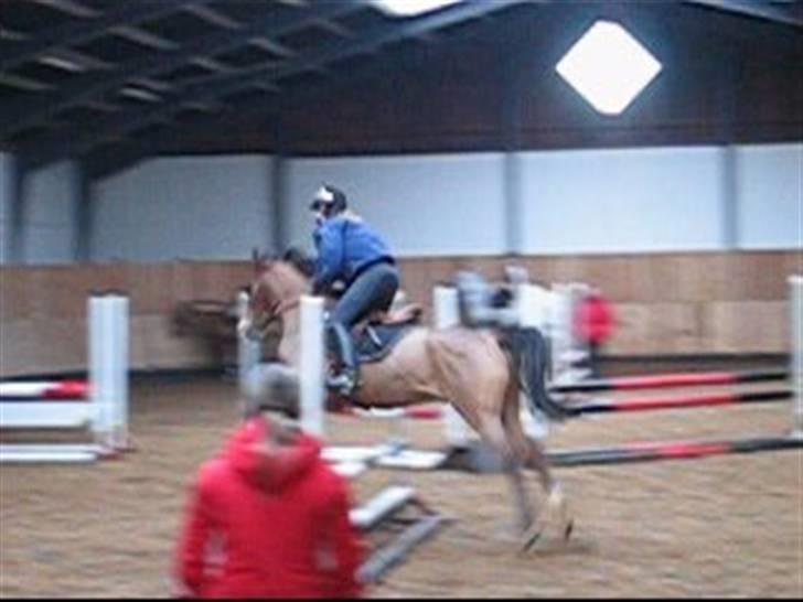 Anden særlig race **Flux<3** solgt:´( - Albert Kursus:D  billede 13