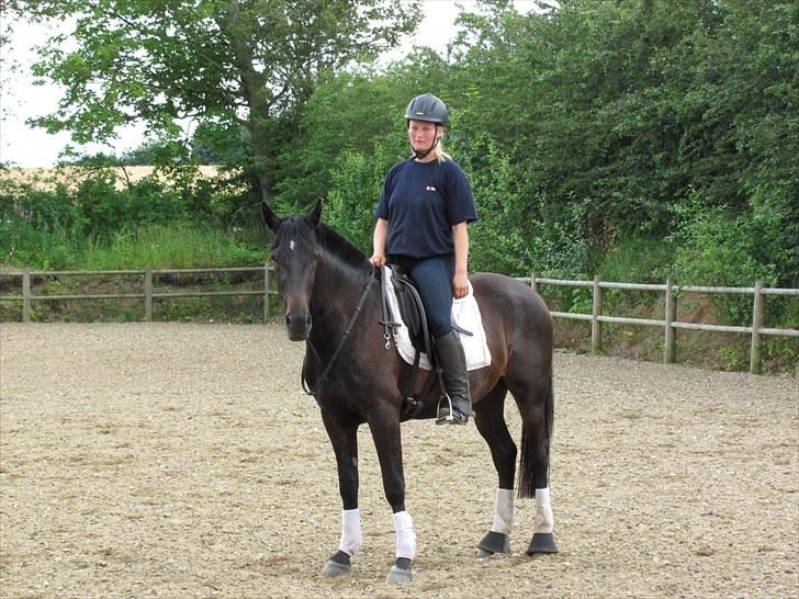 Traver Oventus - himmelhesten - Træning d. 17 juni 2010 billede 2