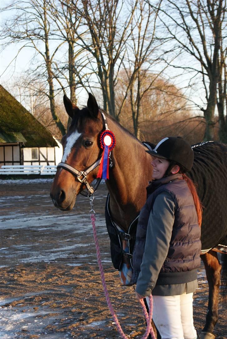 Anden særlig race Daisy Duke SOLGT - 17: Skovsbo 29/12, vores første rosette i spring :D Fotograf: Line (med Holaren) billede 17