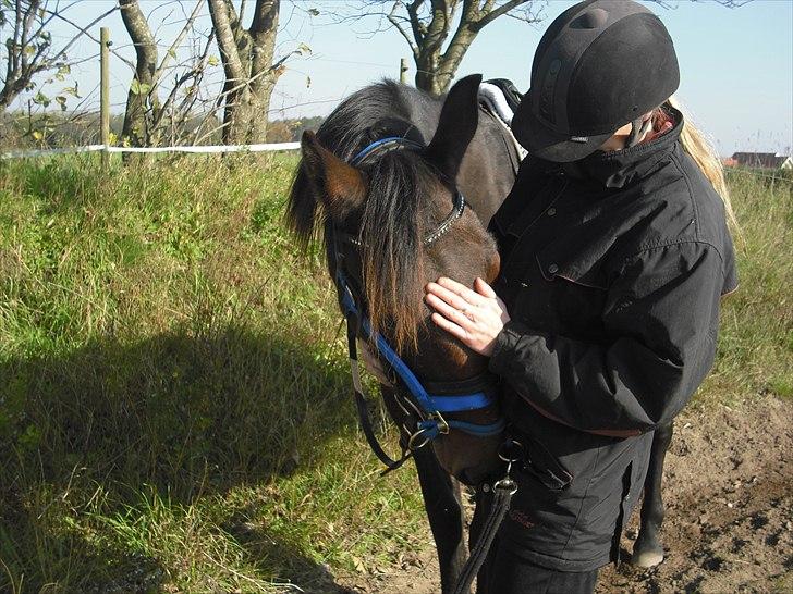 Anden særlig race Lucky *RIP* - Billede taget d 9 okt  2010. billede 14