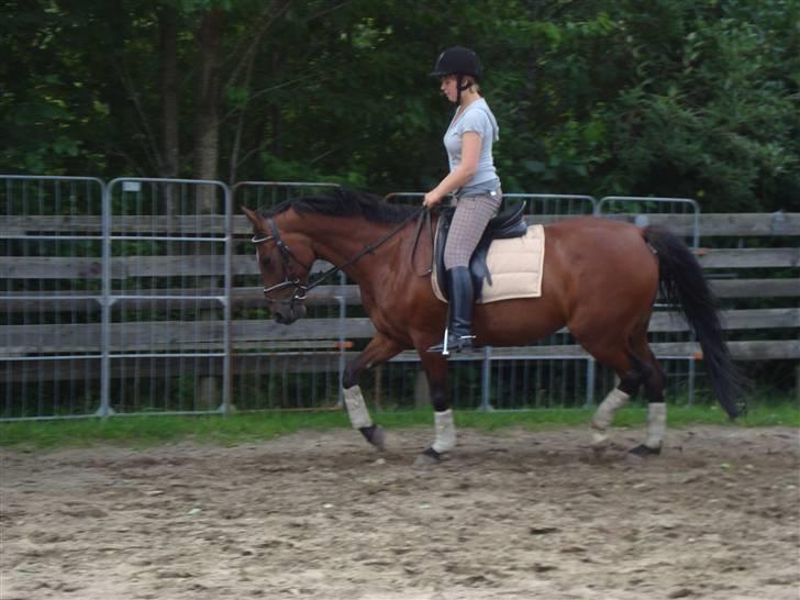 Anden særlig race Cassie :D - Træning :D Foto: Amanda :) billede 16