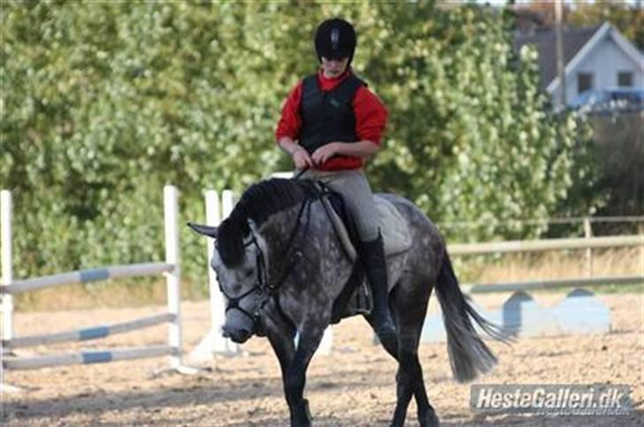 Anden særlig race Lukas - Elsker dig så meget ! billede 5