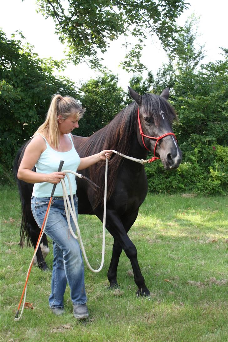 Anden særlig race Gazella RIP - Foto:Signe Bendsen - Gazella og jeg går sidelæns billede 12