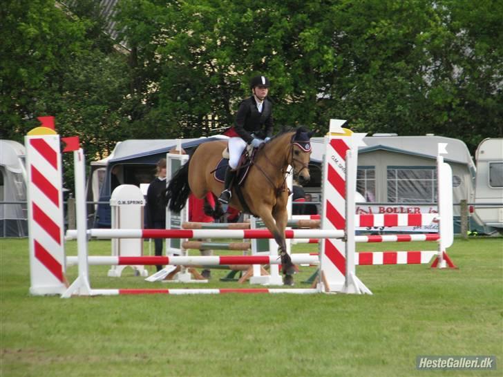 Anden særlig race Stjerne - til stævne i sønder hygum :) LB billede 7