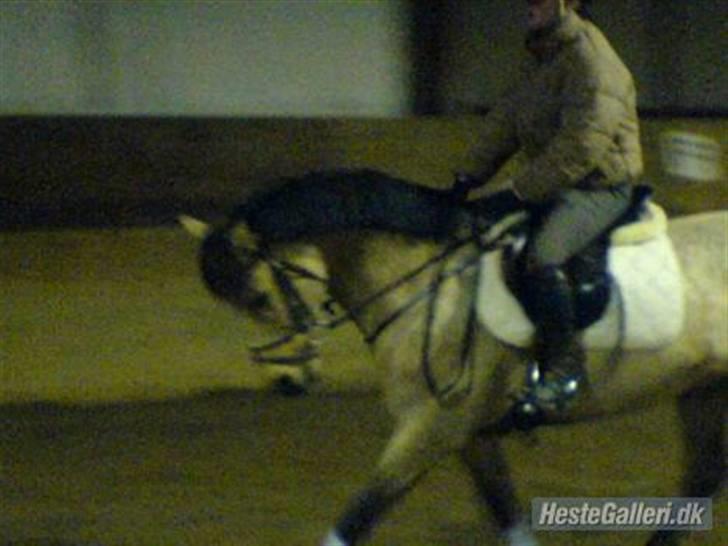 Anden særlig race Stjerne billede 14