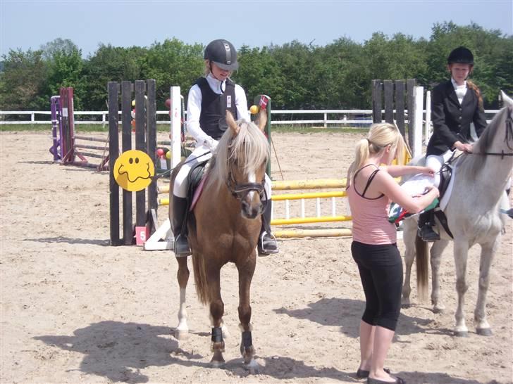 Tysk Sportspony Mühlenhofs Lambada - Sofie første stævne på sin nye pony, som hun ikke vidste skulle blive hendes senere på dagen. billede 1