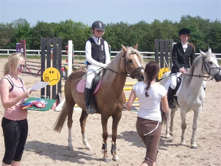 Tysk Sportspony Mühlenhofs Lambada - 1. stævne og første sløjfe billede 2