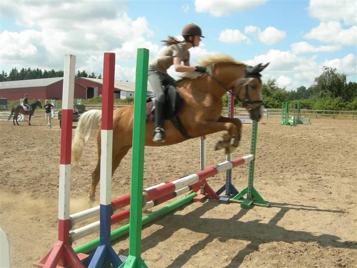 DSP Bæklunds Light - Springer trippelbar :o)  ... Fotograf: Min Mor / Pia Pedersen billede 3