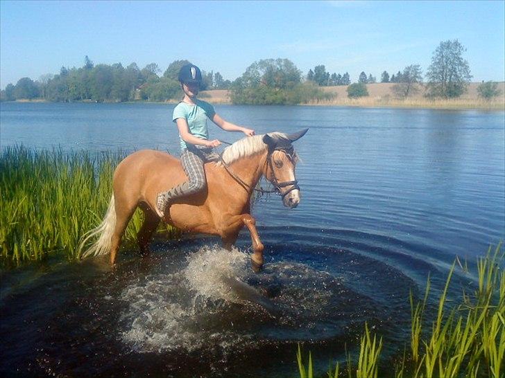 DSP Bæklunds Light - I søen <3  ... Fotograf: Min Mor / Pia Pedersen billede 14