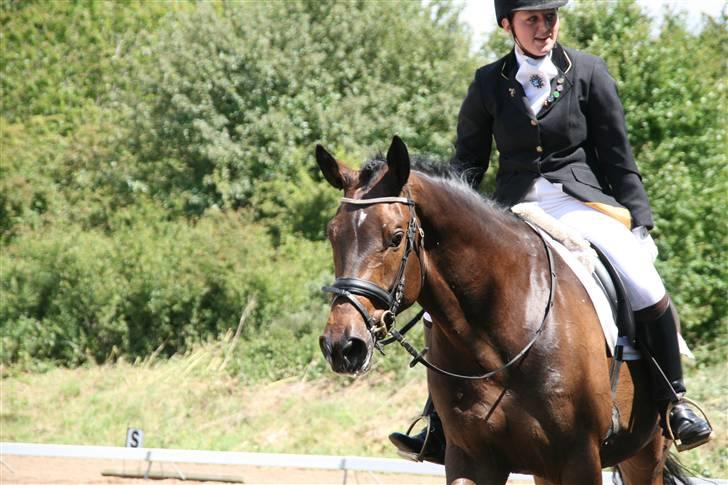 Holstener Coddy aka. Madsen - Færdig med program.. billede 1