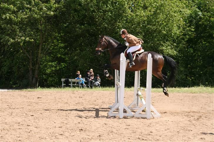 Holstener Coddy aka. Madsen - Lidt mærkelig spring :D billede 8