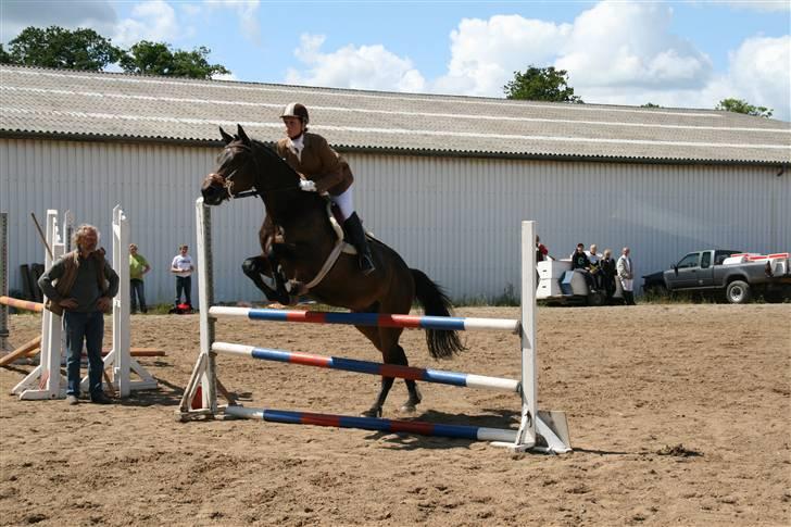 Holstener Coddy aka. Madsen billede 10