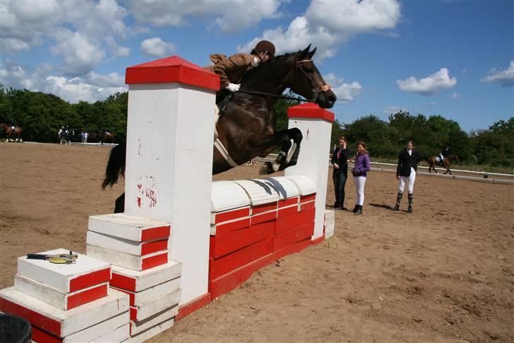 Holstener Coddy aka. Madsen - Wee :D billede 11