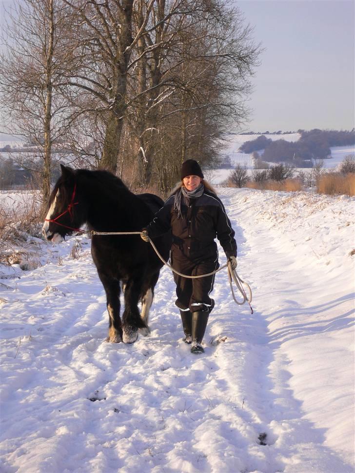 Tinker Zarmora R.i.P - På trække-tur i december 2009 billede 14