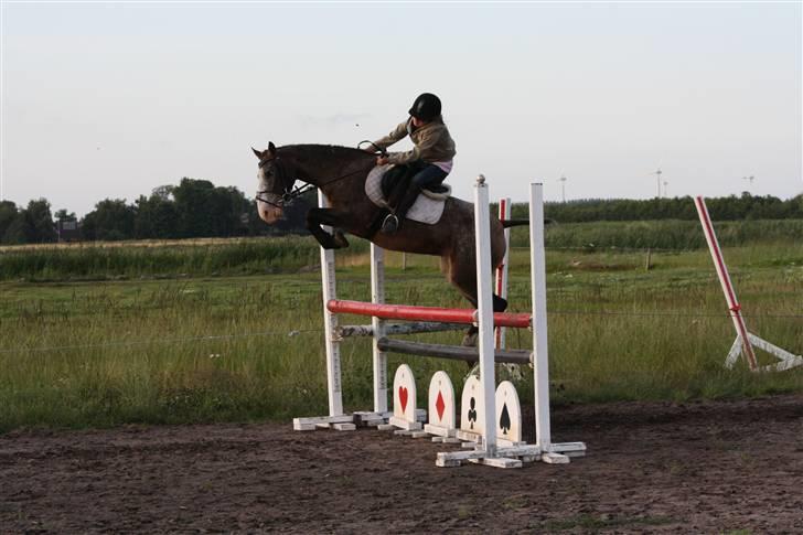 Knabstrupper Roosgårdens Frønse *redet billede 12