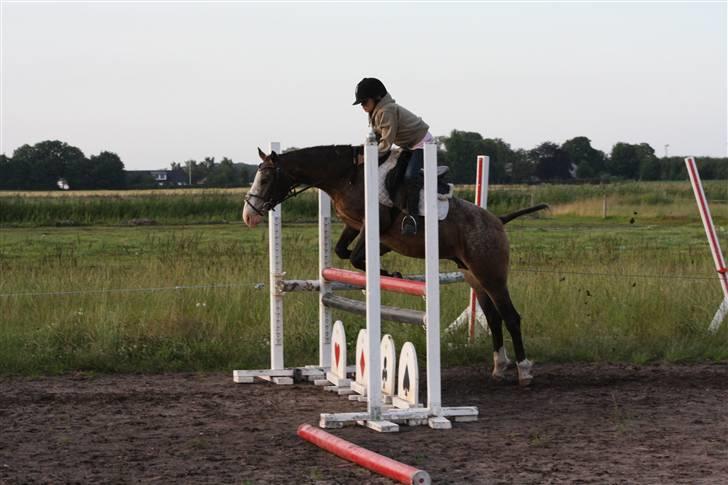 Knabstrupper Roosgårdens Frønse *redet billede 13