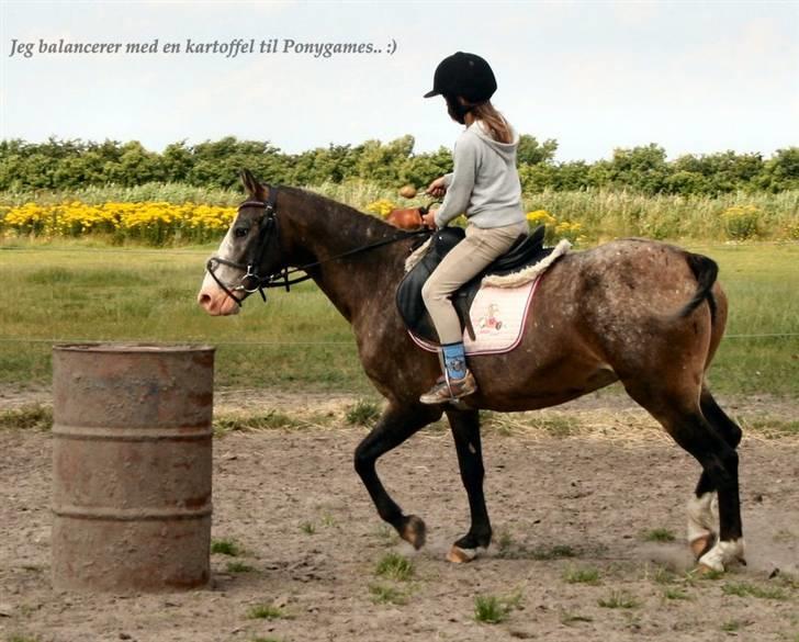 Knabstrupper Roosgårdens Frønse *redet billede 14