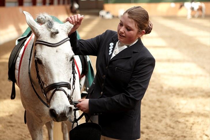Anden særlig race Kashmir B - pony - solgt - 13)www.tellerfoto.dk billede 12