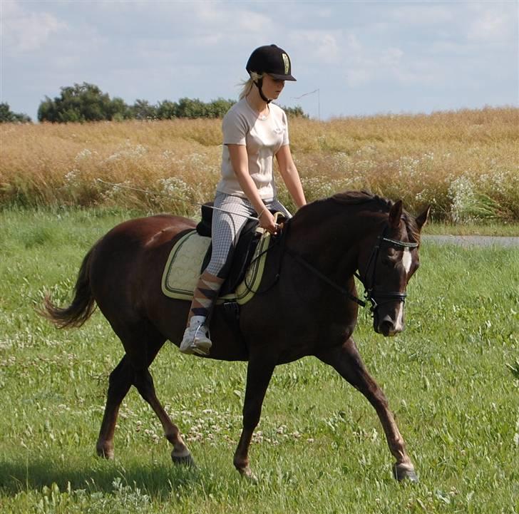 DSP Dutchy - Trav på fine pigen med Ally billede 6