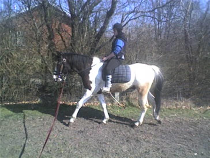 Anden særlig race konano *SOLGT* - velkommen til konano´s profil (;  billede 1