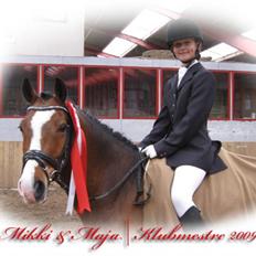 Anden særlig race Midnights Micra