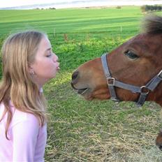 Anden særlig race Vordegaards Matti