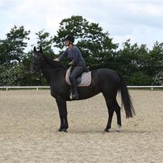 Oldenborg Chanel ( R.I.P)