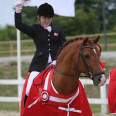 DSP Brooklands Moonwalker