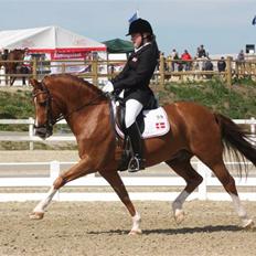 DSP Brooklands Moonwalker