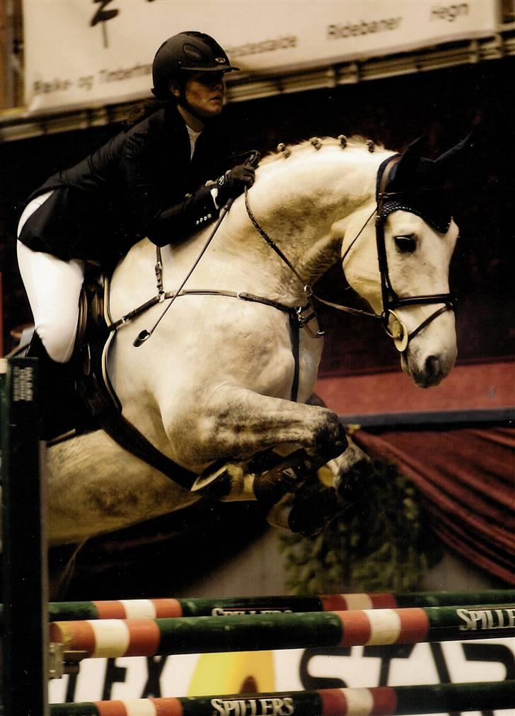 Dansk Varmblod Antares - Mettine og Anton til Christmas Show 2007. billede 1