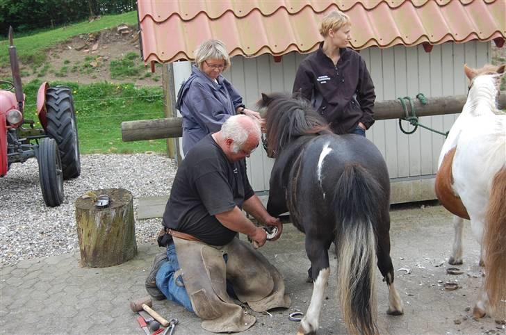 Anden særlig race Lotte - Vi får lige ordnet fusserne billede 11