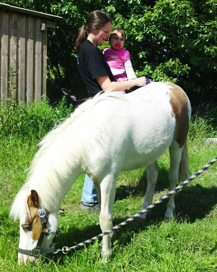 Anden særlig race Baunegårdens Mickey SOLGT billede 4
