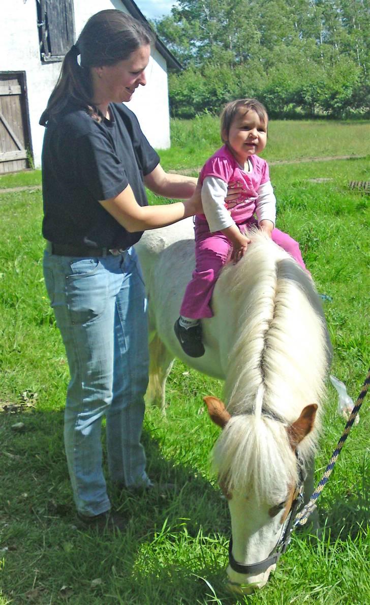 Anden særlig race Baunegårdens Mickey SOLGT billede 5