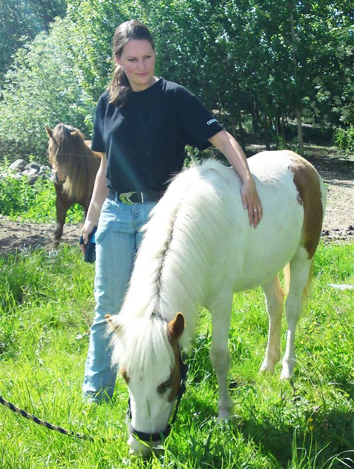 Anden særlig race Baunegårdens Mickey SOLGT billede 7