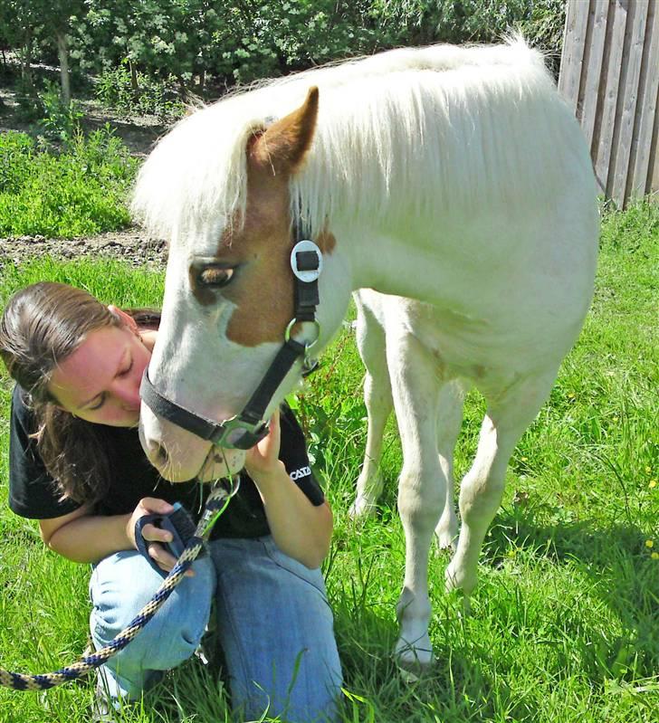 Anden særlig race Baunegårdens Mickey SOLGT billede 9