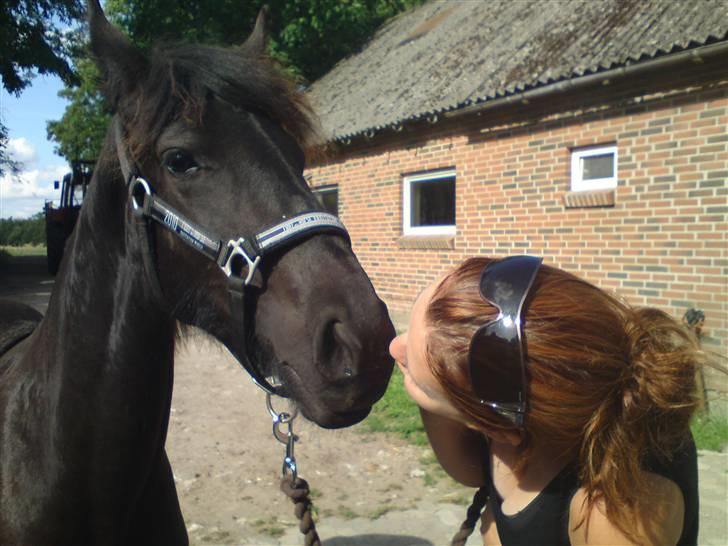 Frieser Caroline billede 2