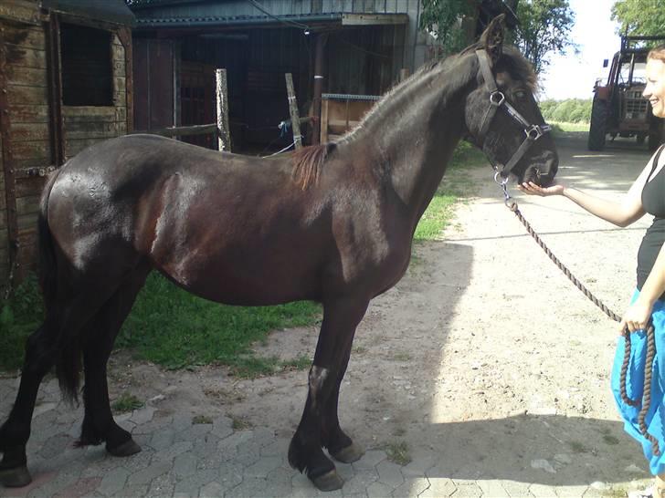 Frieser Caroline billede 5