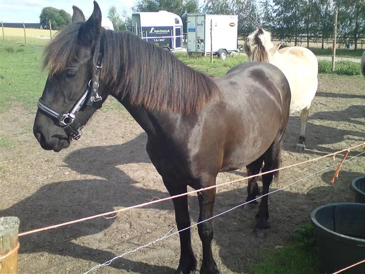 Frieser Caroline billede 7