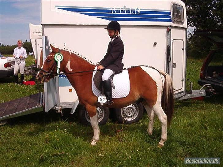 Pinto sweety MINBEDSTEVEN - 11.  Dengang vi var små, en af vores første stævner:) billede 11