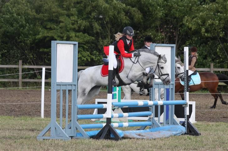 Anden særlig race PRIK. - Mig og Prik - fredag til ponnyuge. her i La over plastikvand :D billede 18