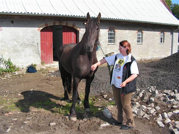 Frieser Griet A *RIP* billede 2