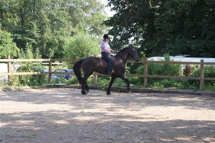 Frieser Griet A *RIP* billede 4