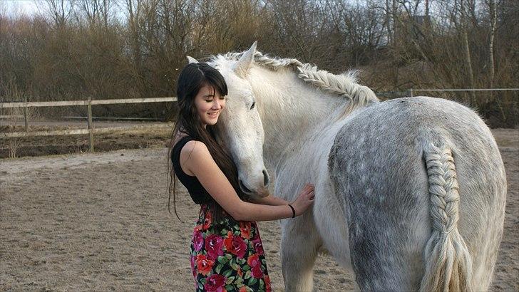 Lusitano Urque - 17 #  Jeg var på vej op på min pony, da han bestemte sig for, vi hellere bare skulle nusse <33 Marts 2011 billede 17