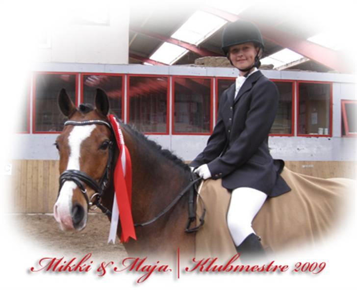 Anden særlig race Midnights Micra - klubmester:D billede 2