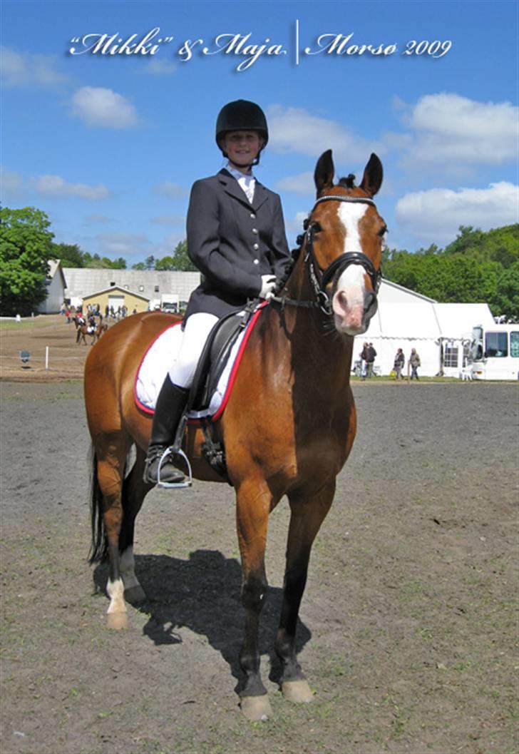 Anden særlig race Midnights Micra - Så er vi færdige!. :P billede 11