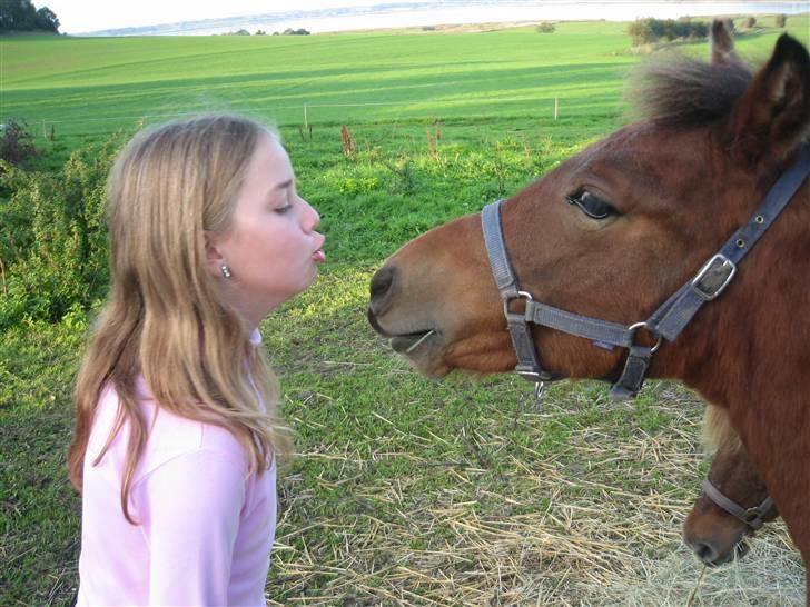 Anden særlig race Vordegaards Matti - Matti og jeg som små <3 billede 3