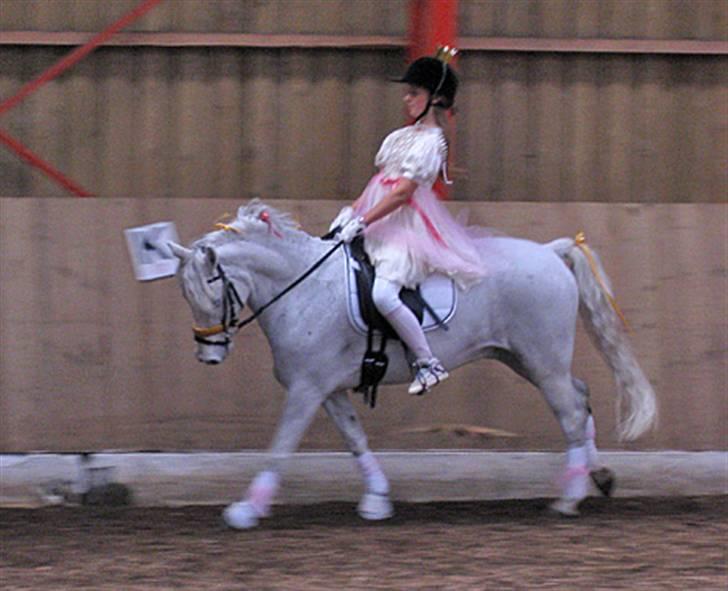 Welsh Pony (sec B) Lindveds Hesper - Til fastelavnsstævne, ´prinsesse´ <3 billede 17