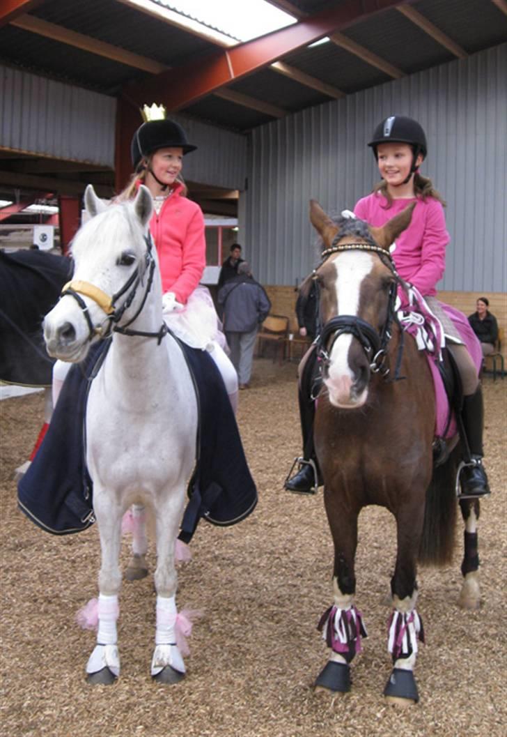 Welsh Pony (sec B) Lindveds Hesper - fastelavn, ved siden af står Julie og Limosine:D billede 20